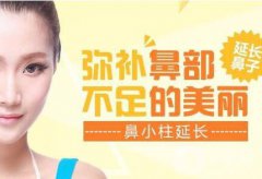 廣東鼻小柱延長費(fèi)用需要多少