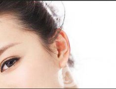 廣東豐耳垂多少錢？?jī)r(jià)格是多少？