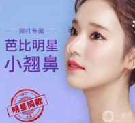 假體隆鼻價格是多少？