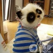 射頻去黑眼圈貴嗎？