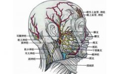面部纖維溶解手術(shù)有風(fēng)險(xiǎn)嗎？