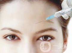 瑞蘭2號多少錢一支?價(jià)格詳細(xì)分析