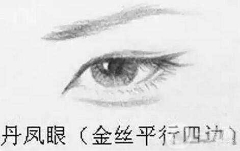 丹鳳眼是什么樣兒的？好看嗎？
