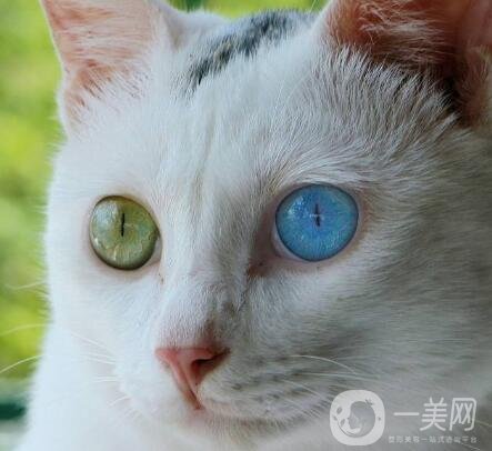 拉雙眼皮的危害是什么？術后注意事項有哪些？