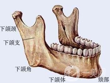 磨下頜角價格是不是很貴？一般要多少錢？