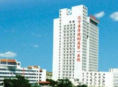 遼寧醫(yī)學院附屬醫(yī)院燒傷整形科價格表鉅惠發(fā)布，附概況及口碑