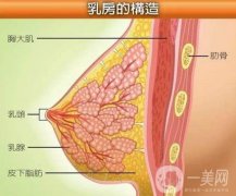 平胸穿衣顯高級(jí)?機(jī)場(chǎng)更美！醒醒吧集美！胸大才能逆襲女神！