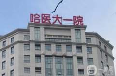 哈爾濱醫(yī)科大學附屬第一醫(yī)院整形科怎么掛號？醫(yī)生簡介/專家擅長點評