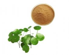 植物提取成分：護膚功效與產(chǎn)品推薦