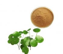 植物提取成分在護膚品中的功效與應(yīng)用