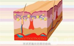 如何鑒別伊婉玻尿酸的真?zhèn)危?></a>
                            <div   id=