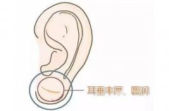 玻尿酸豐耳垂適合什么年齡？