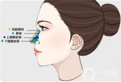 隆鼻后怎么可以快速恢復(fù)
