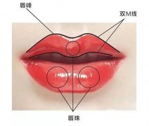 影響豐唇價格的因素有哪些
