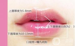 自體脂肪豐嘟嘟唇的效果可以永久嗎？